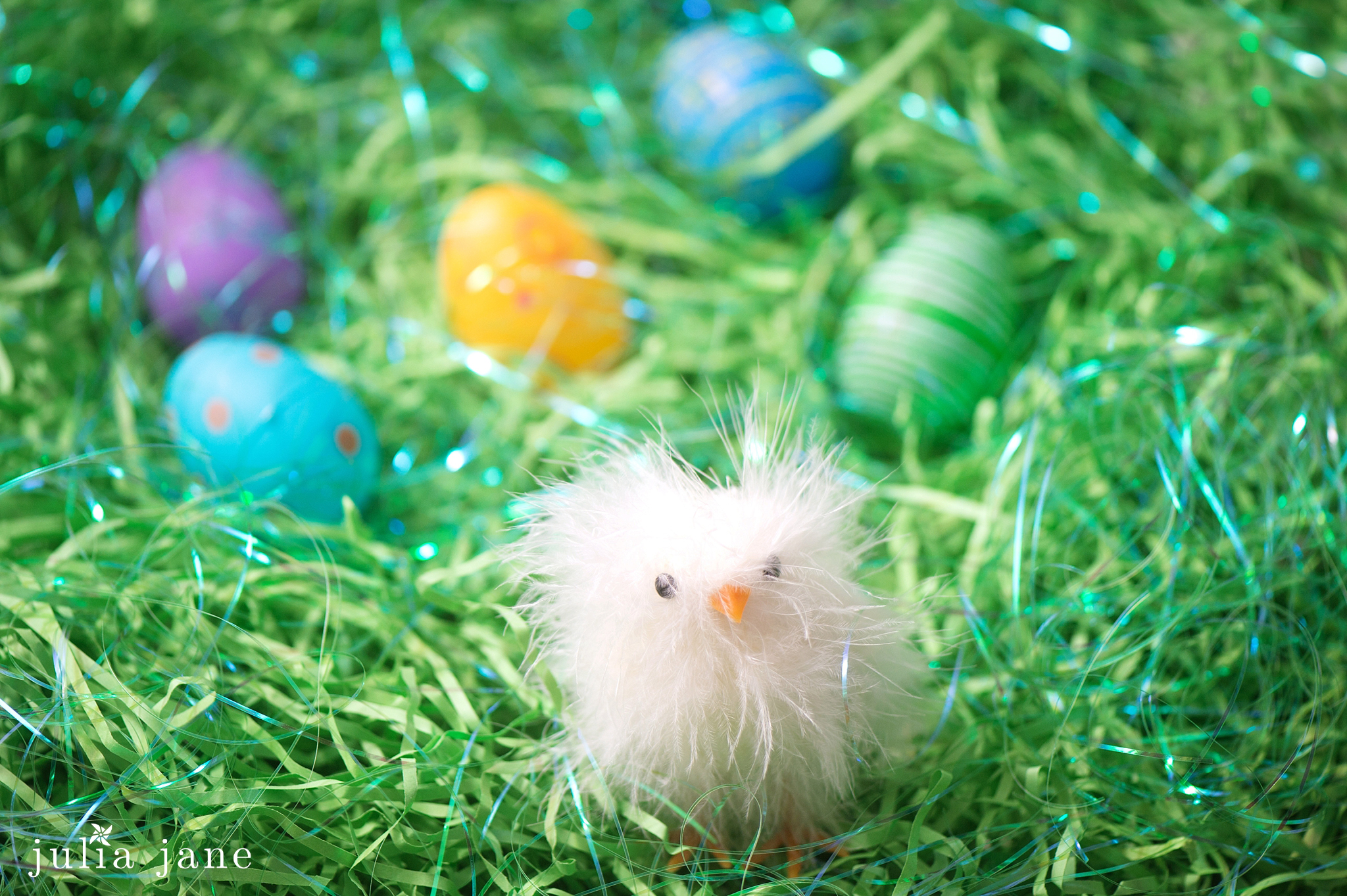 still life photography by connecticut photographer julia jane studios